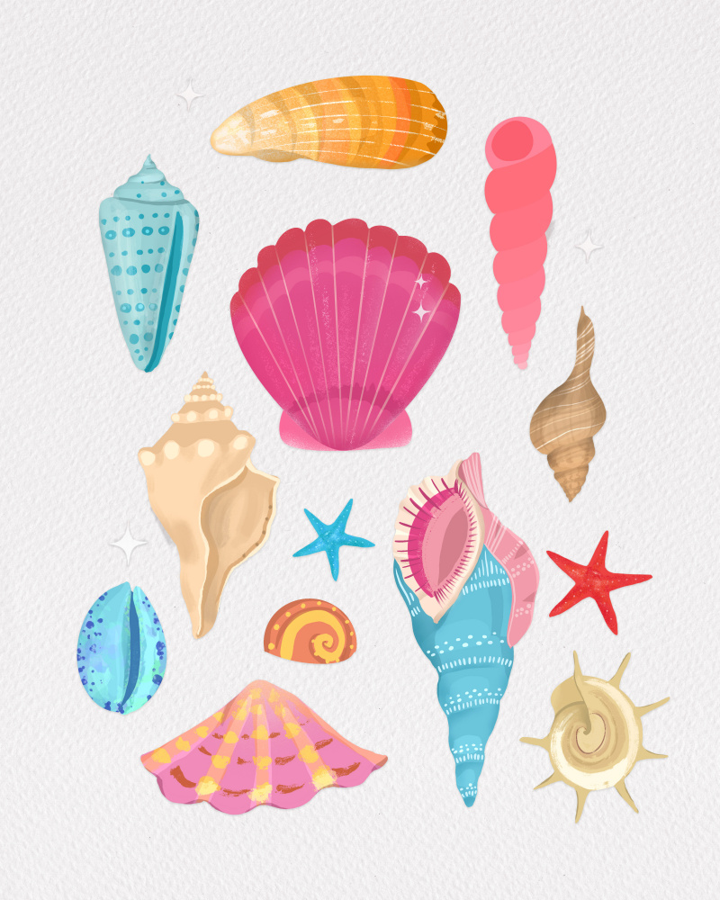 Seashells von Petra Lizde