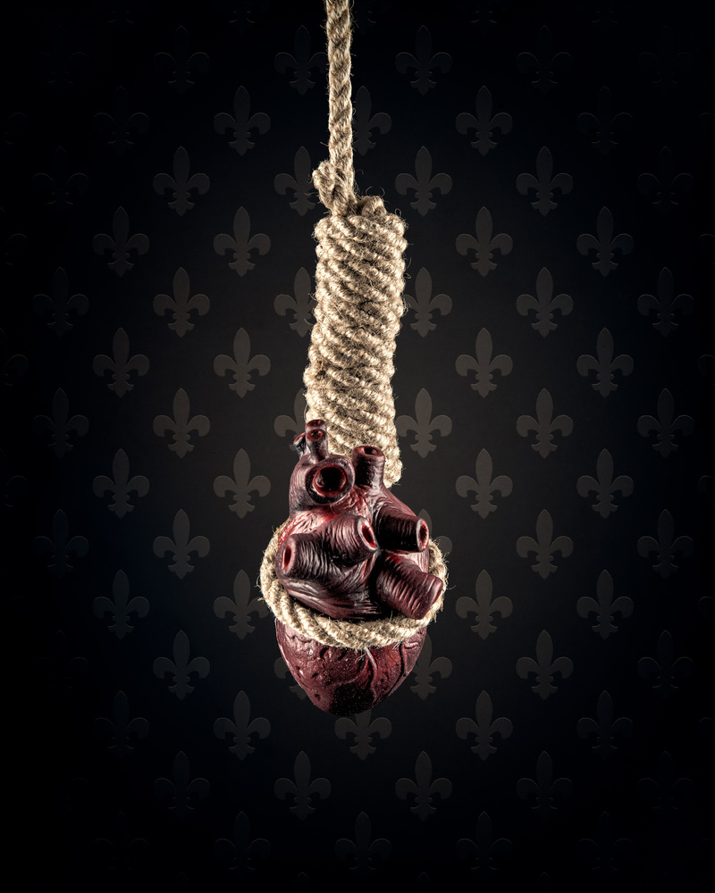 Heart on a Noose von Petri Damsten