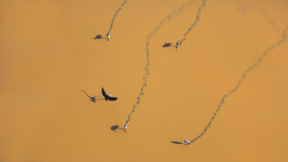 Walking on water von Phillip Chang