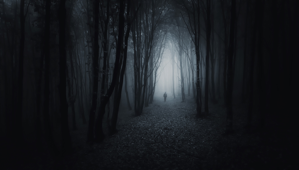 The Dark Path von PhotoCosma