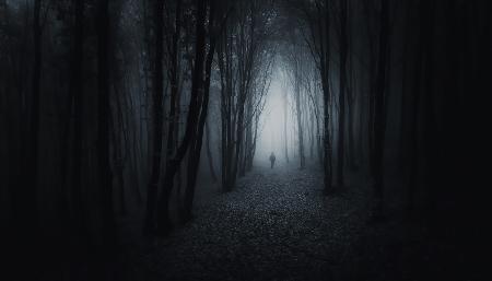 The Dark Path