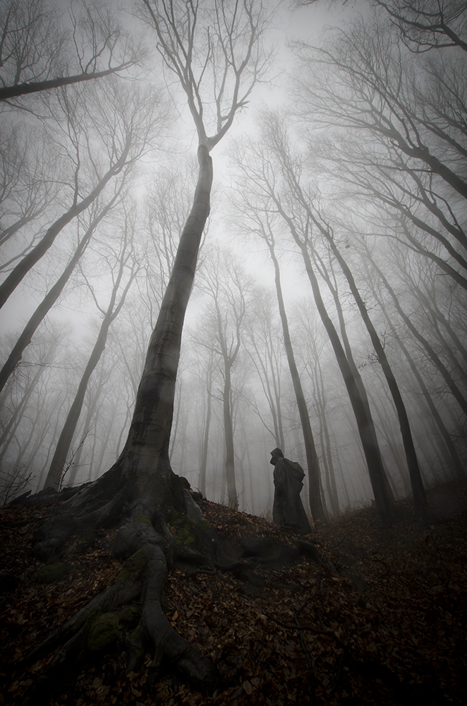 Mysterious silhouette under giant tree von PhotoCosma