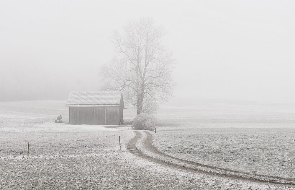 a foggy day von Pia Mihailowitsch