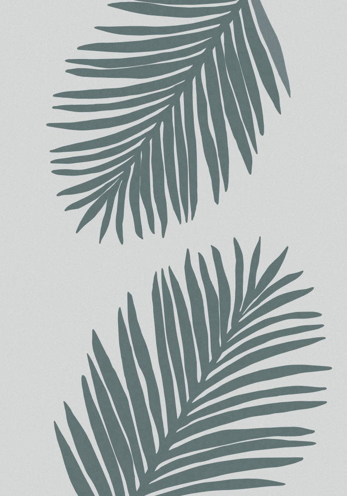 Palm Leaf Gray with tint of green 02Palm Leaf Color Matched 02 von Pictufy Studio