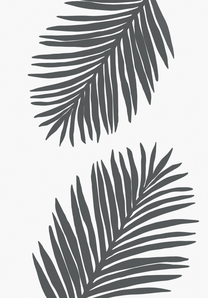 Palm Leaf Gray 01 von Pictufy Studio