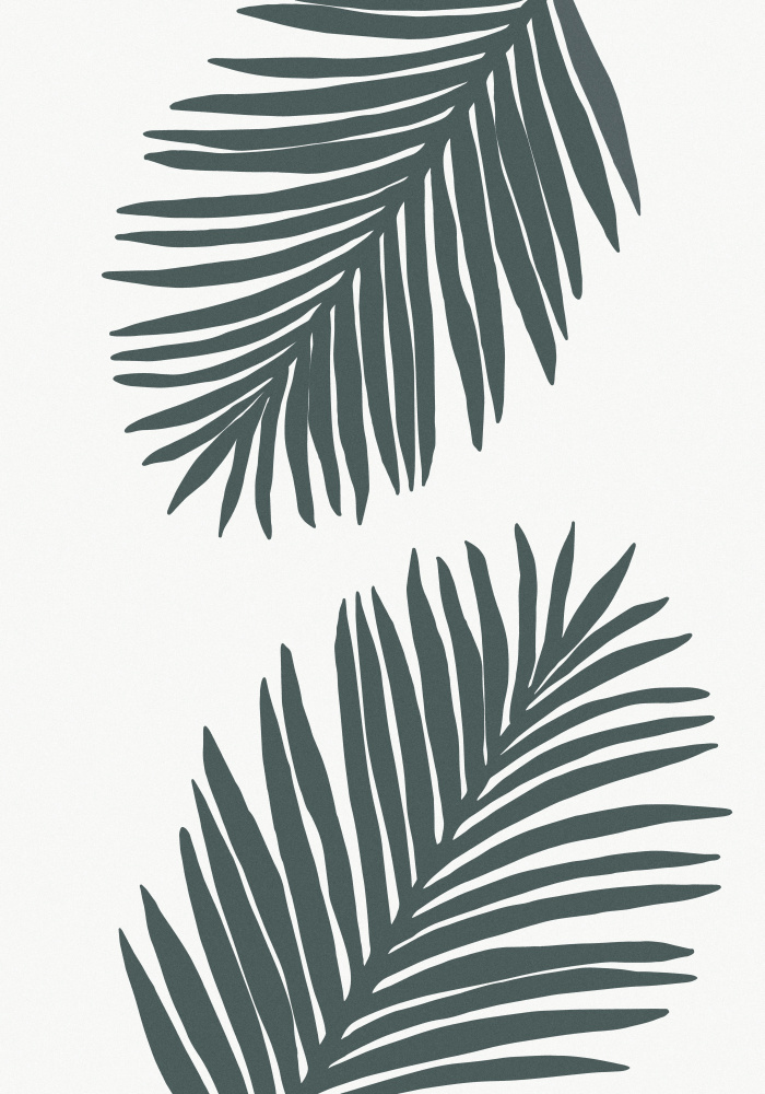 Palm Leaf Gray with tint of green 01 von Pictufy Studio