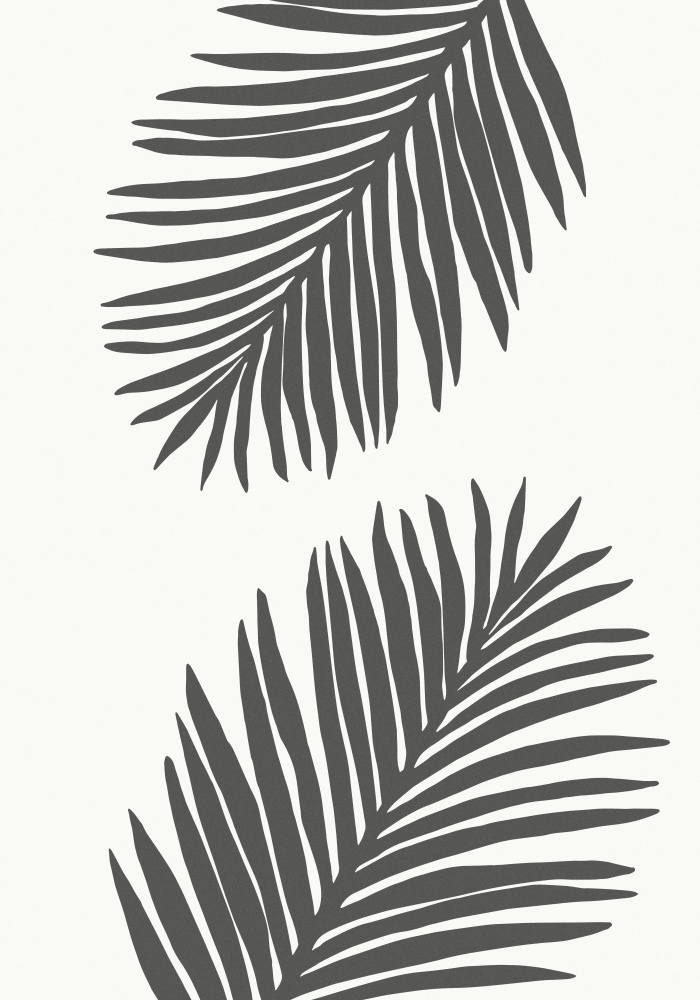 PALM LEAF 12 GRAPHITE GRAY von Pictufy Studio