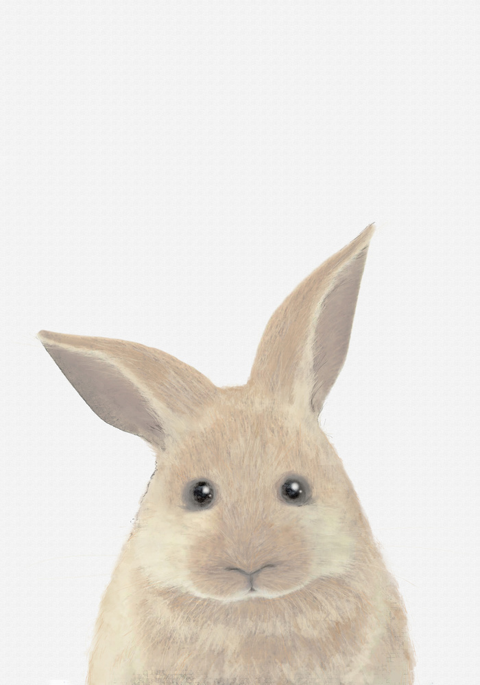 Rabbit von Pictufy Studio II