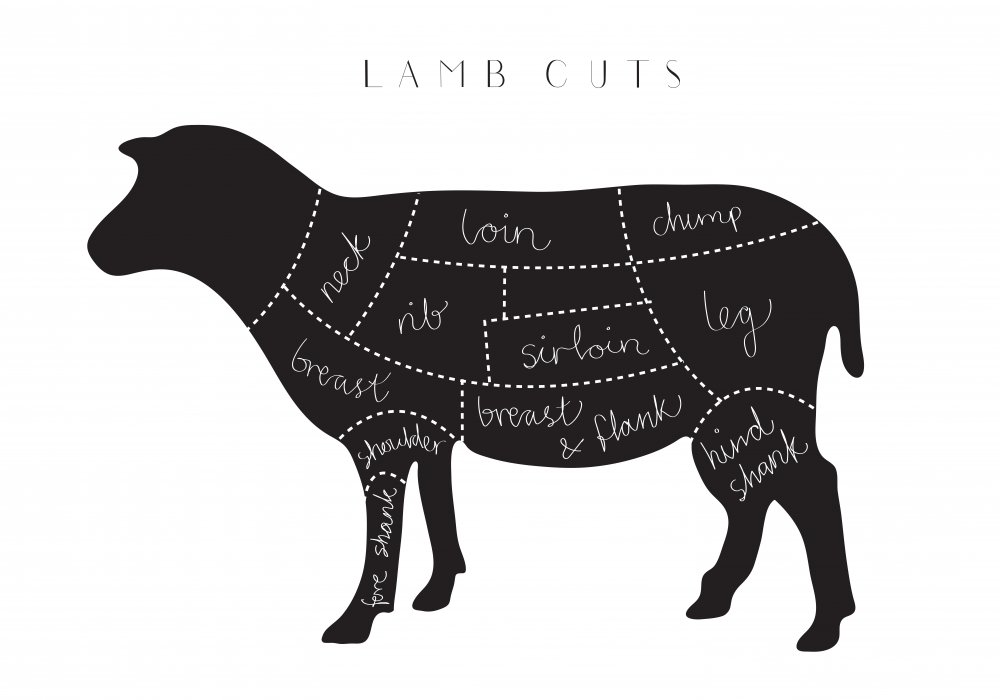 Lamb Cuts von Pictufy Studio II