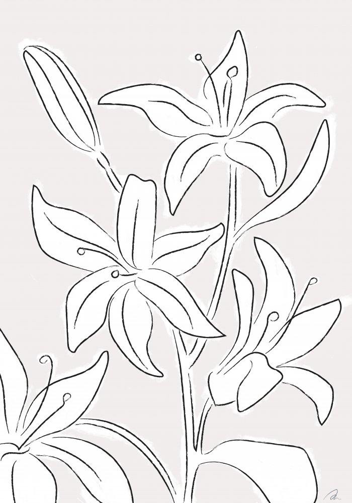 Lillies No 03 von Pictufy Studio II