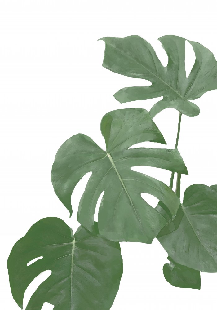 Monstera Aqua 03 von Pictufy Studio II