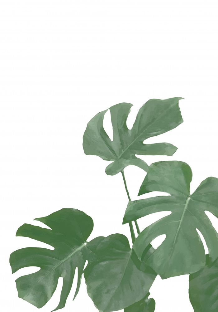 Monstera Aqua 04 von Pictufy Studio II