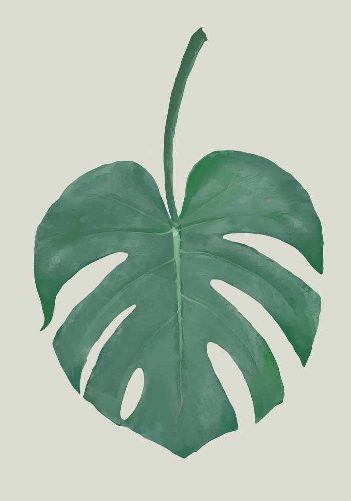 Monstera Aqua 05 von Pictufy Studio II