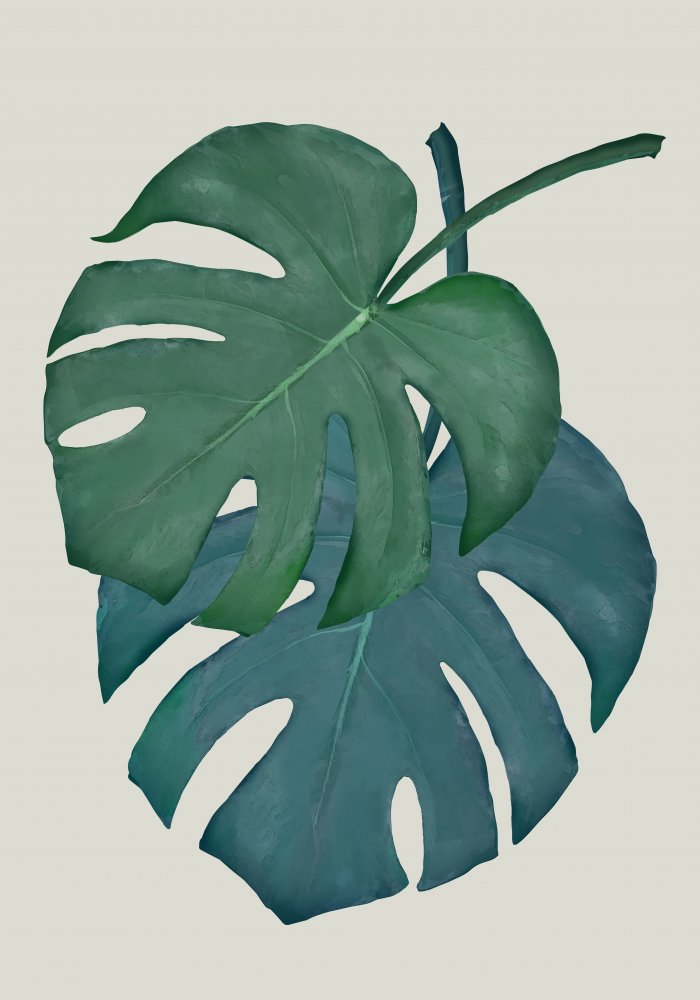 Monstera Aqua 06 von Pictufy Studio II