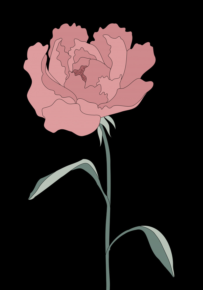 Peony 01 von Pictufy Studio II