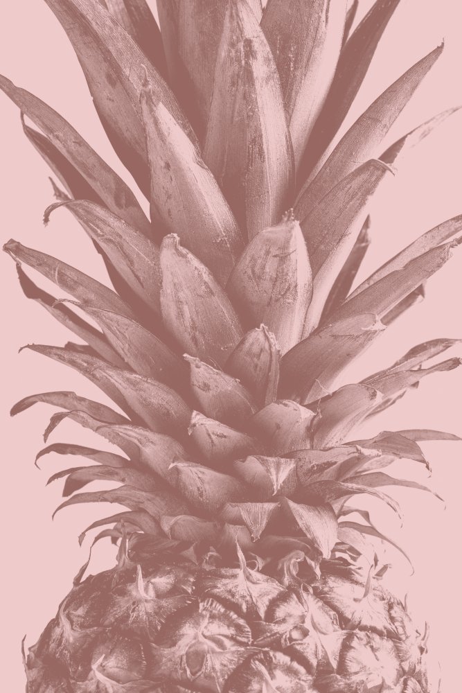 Pineapple Close Up 01 von Pictufy Studio III