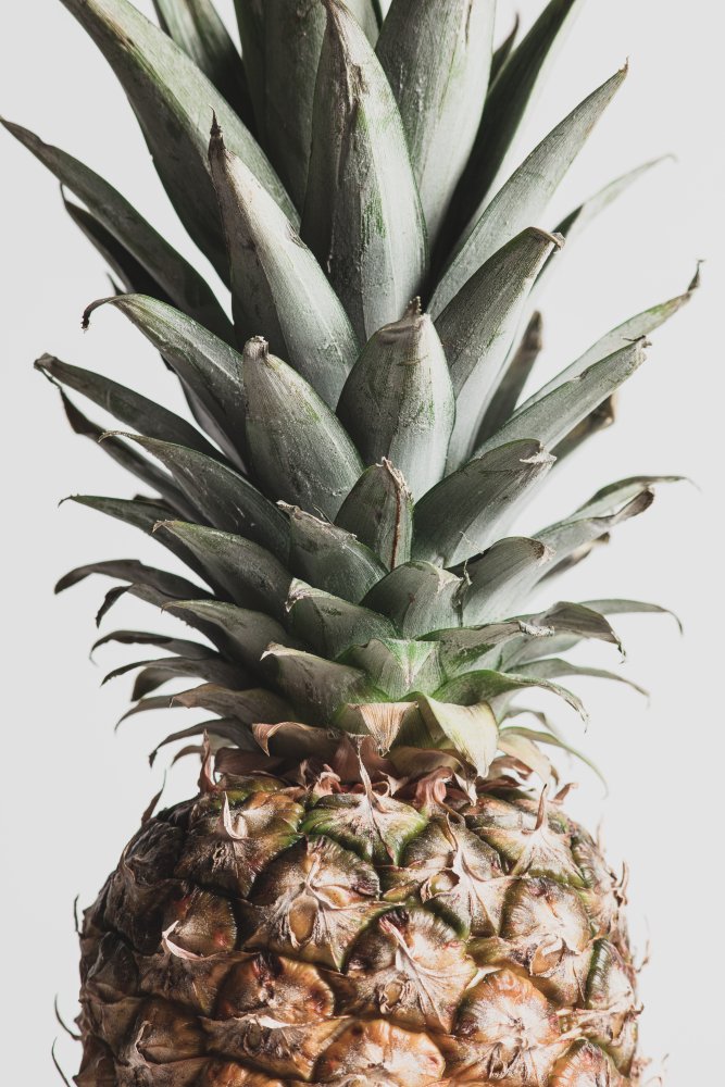 Pineapple Natural 03 von Pictufy Studio III