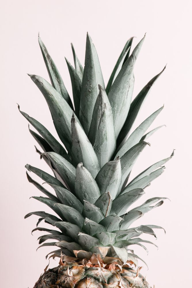 Pineapple Natural Tint von Pictufy Studio III