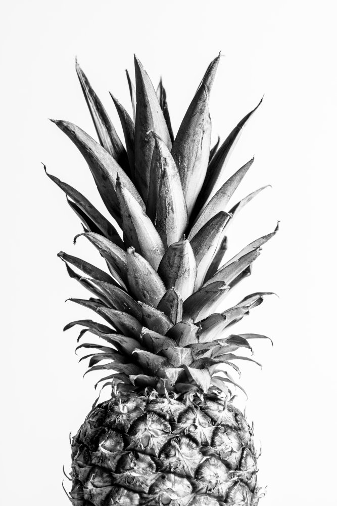 Pineapple Black &amp; White 01 von Pictufy Studio III