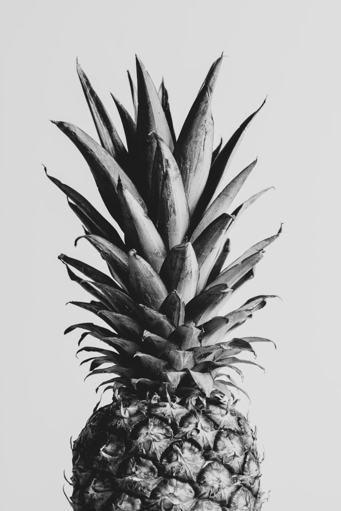 Pineapple Black &amp; White 02 von Pictufy Studio III