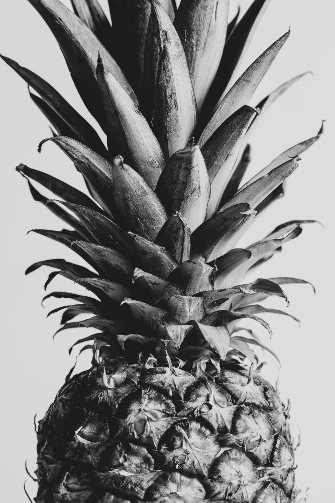 Pinapple Black &amp; White 04 von Pictufy Studio III