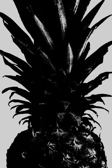 Pineapple bw