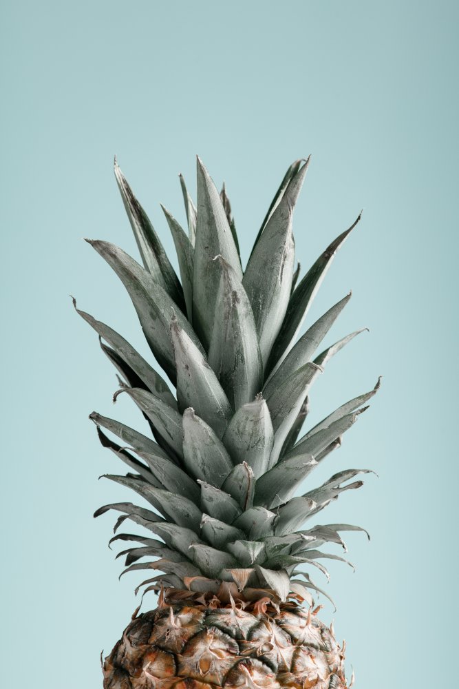 Pineapple Blue 03 von Pictufy Studio III