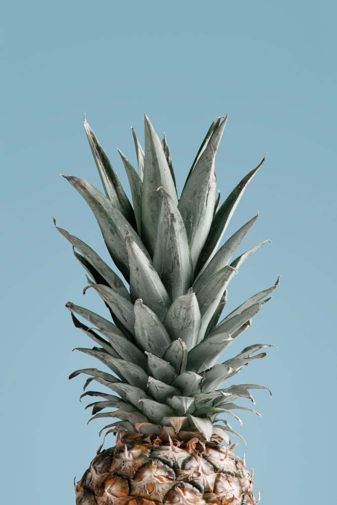 Pineapple Blue 04 von Pictufy Studio III