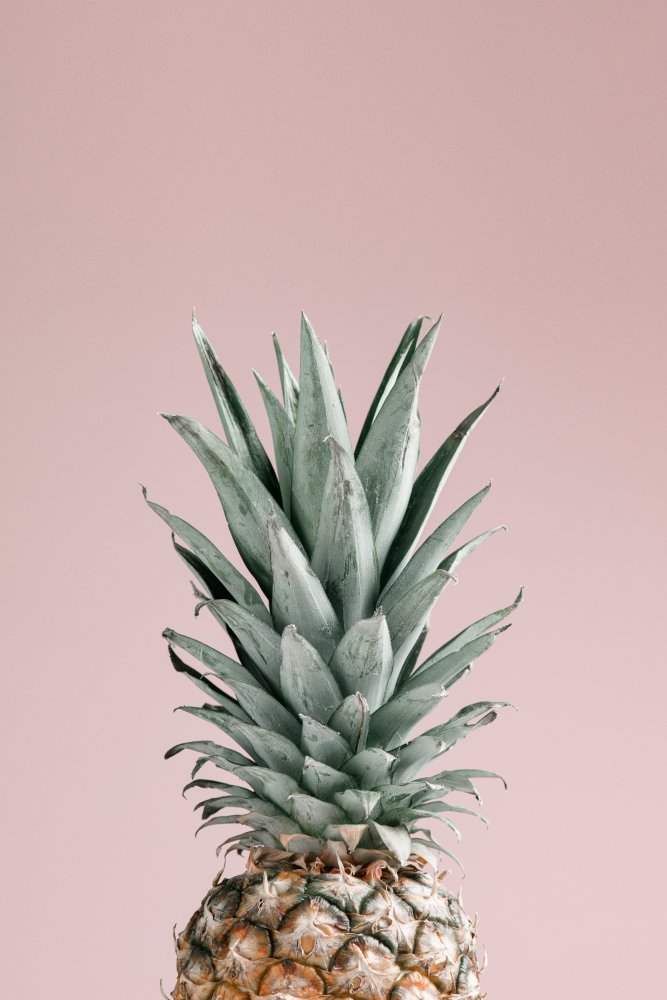 Pineapple Pink 01 von Pictufy Studio III