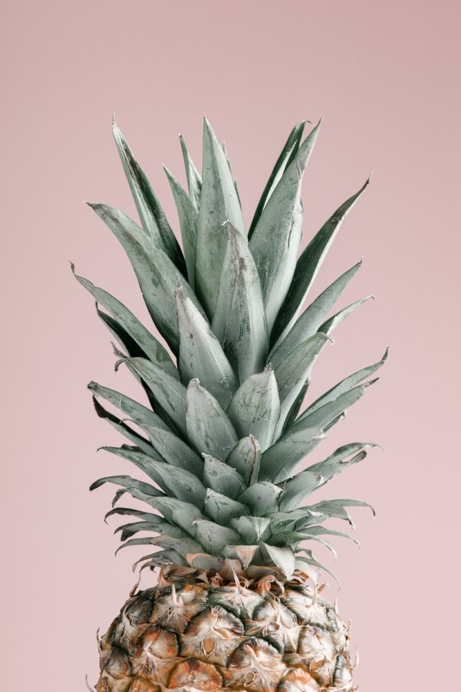 Pineapple Pink 02 von Pictufy Studio III