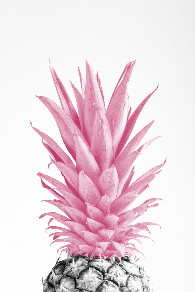 Pinapple Pink 03 von Pictufy Studio III