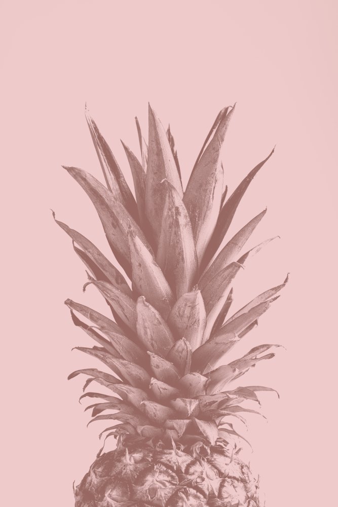 Pinapple Pink 05 von Pictufy Studio III