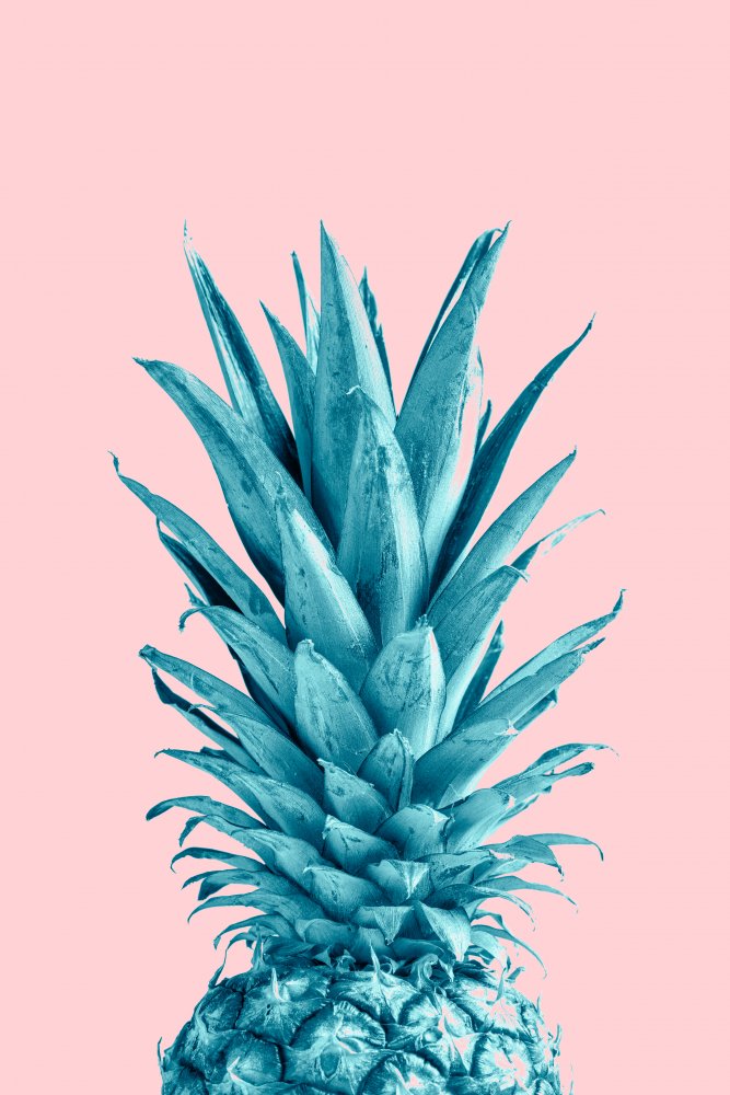 Pineapple Pink 07 von Pictufy Studio III