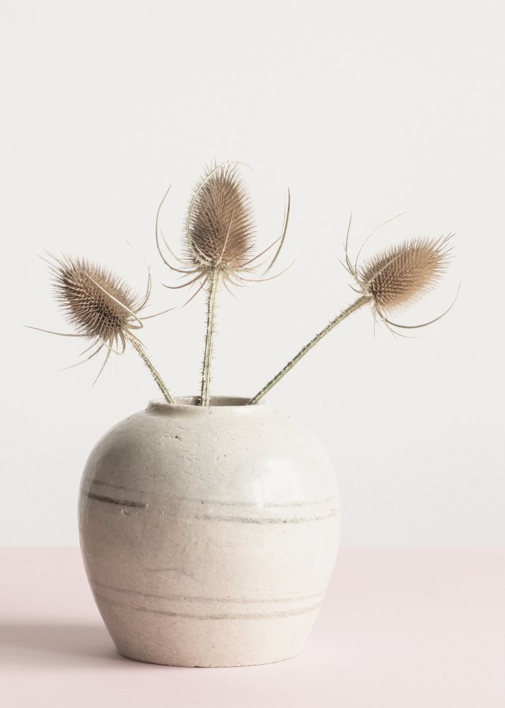 Dried flowers in vase von Pictufy Studio III