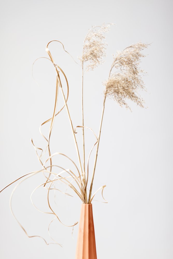 Dried Grass Terracotta von Pictufy Studio III