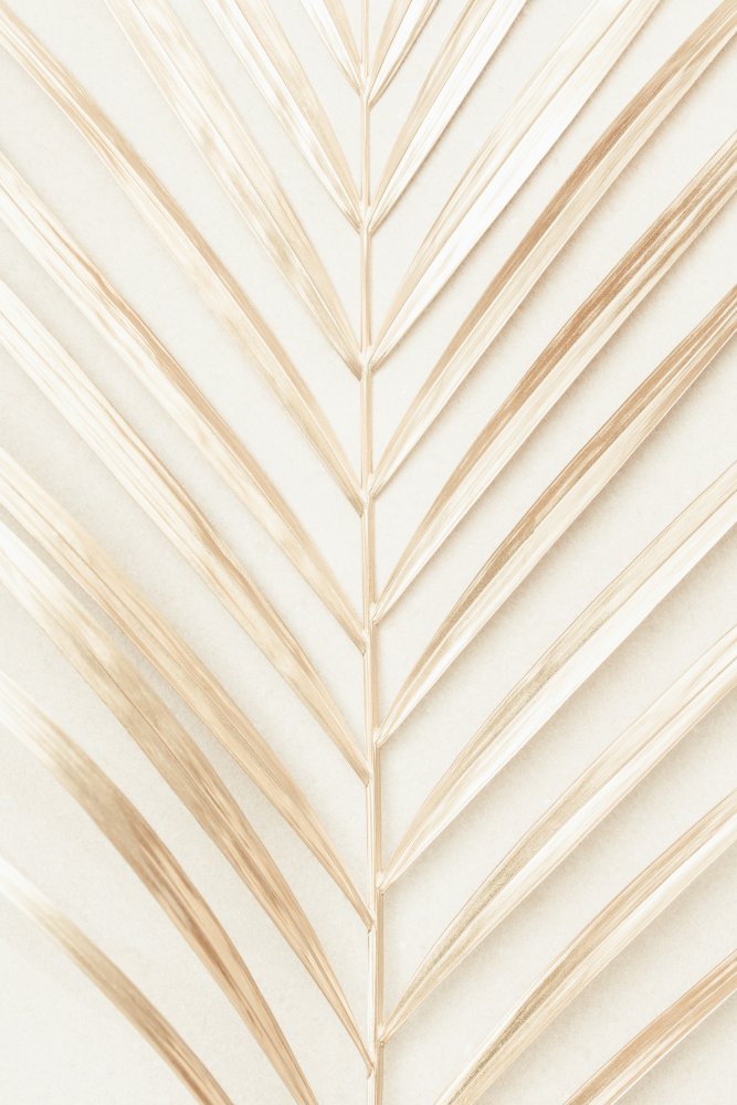 Golden Palm Leaf von Pictufy Studio III