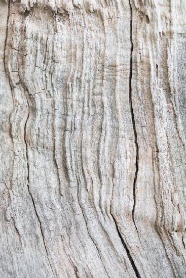 Wood Pattern