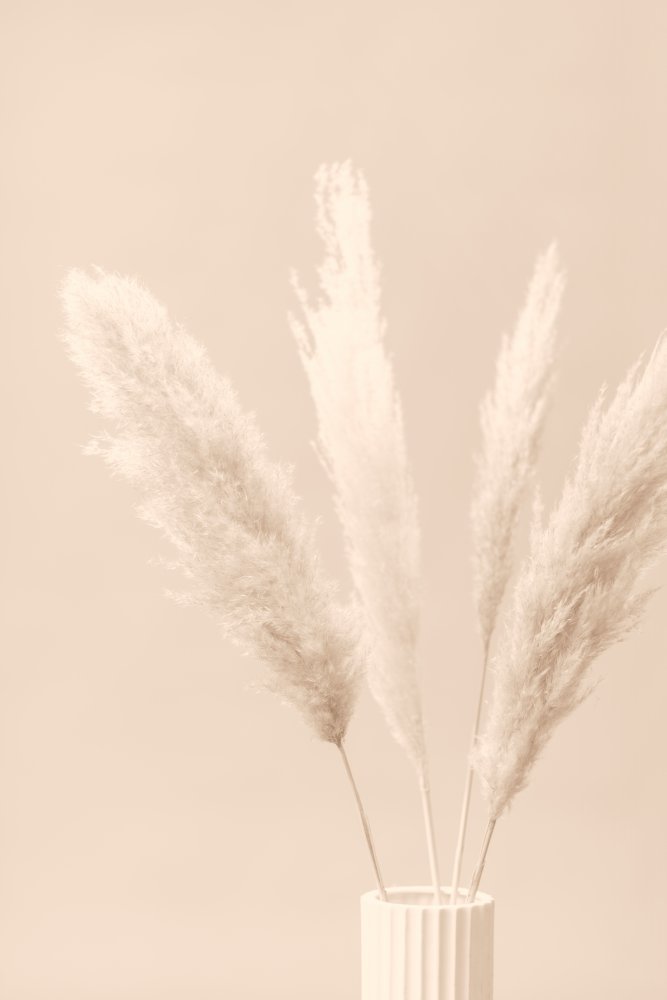 Pampas Grass Beige 05 von Pictufy Studio III