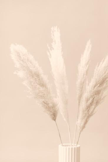 Pampas Grass Beige 05