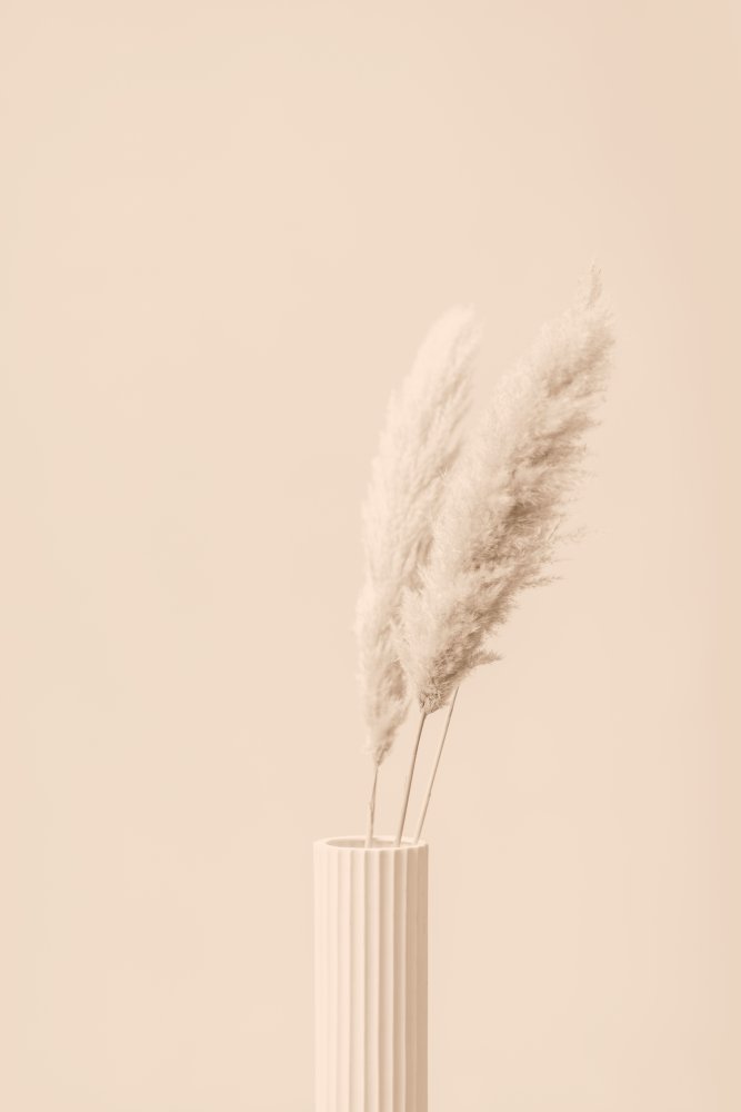 Pampas Grass Beige 12 von Pictufy Studio III