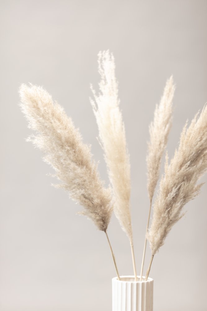 Pampas Grass Grey 05 von Pictufy Studio III