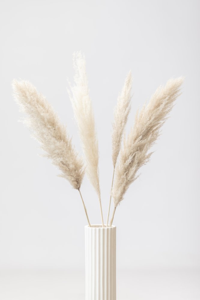 Pampas Grass Grey 09 von Pictufy Studio III