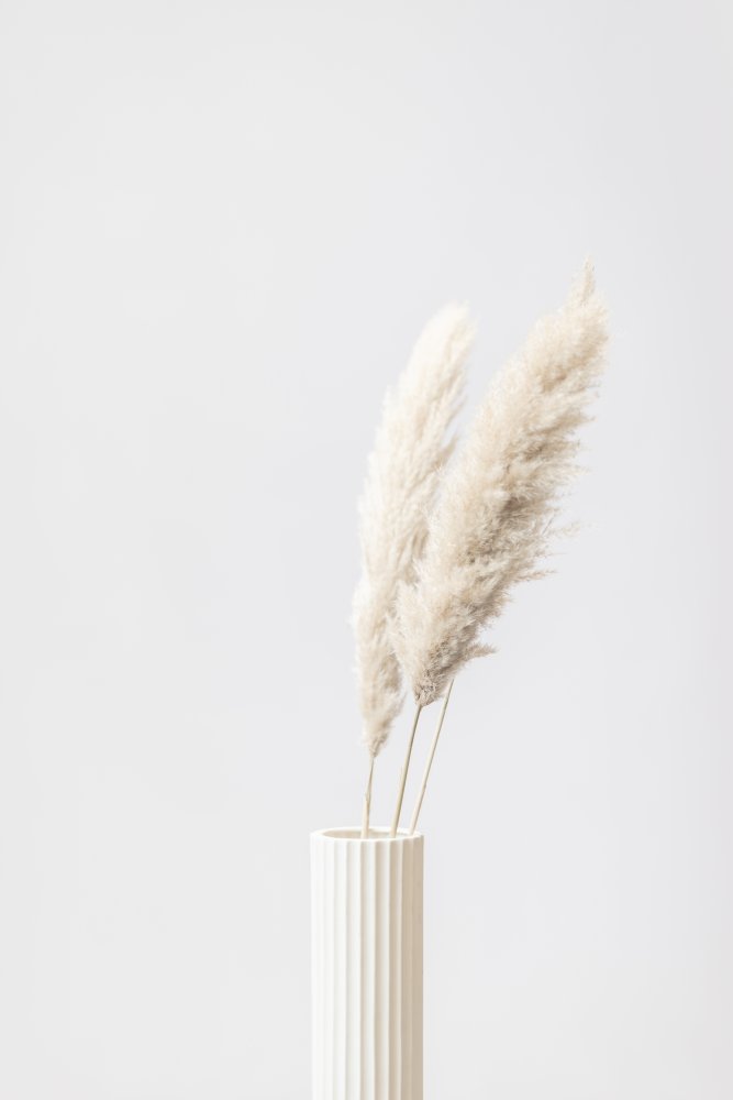 Pampas Grass Grey 10 von Pictufy Studio III