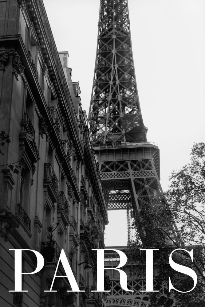 Paris Text 1 von Pictufy Studio III