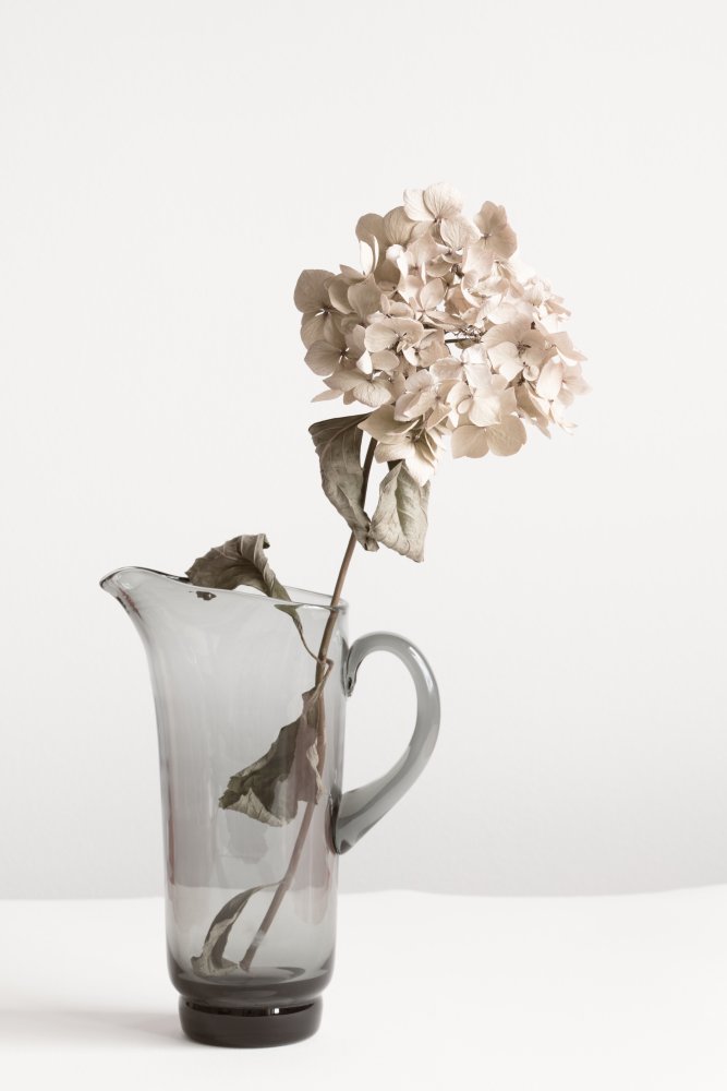 Dried flower in Jug_beige von Pictufy Studio III