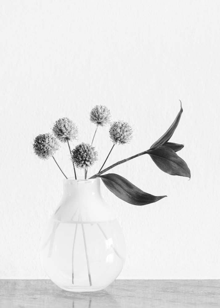 Vase_ chives flower von Pictufy Studio III