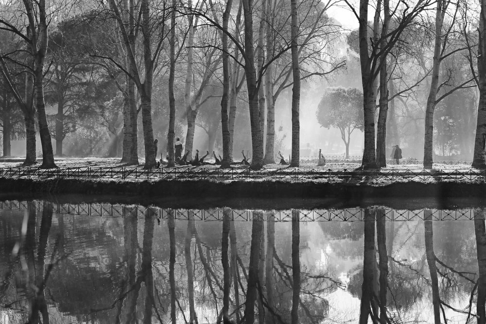 Foggy gym von Piergiuseppe Cancellieri