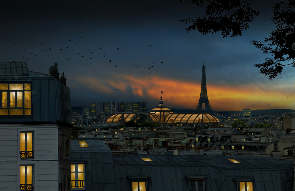 roofs of Paris at blue hour von Pierre Bacus