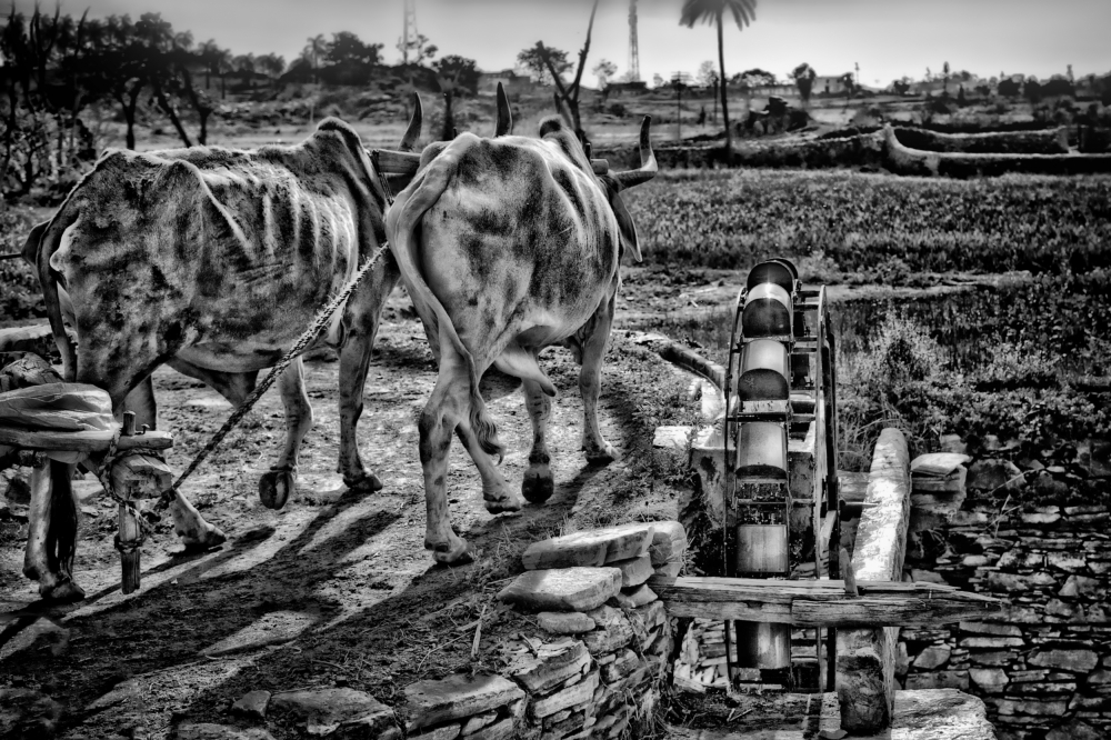 irrigation von Piet Flour