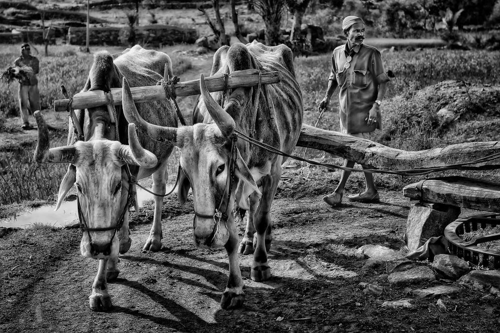 water well irrigation in India von Piet Flour